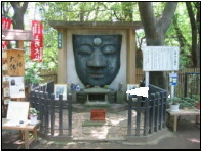 쉶Ńf[gAAj̎UI