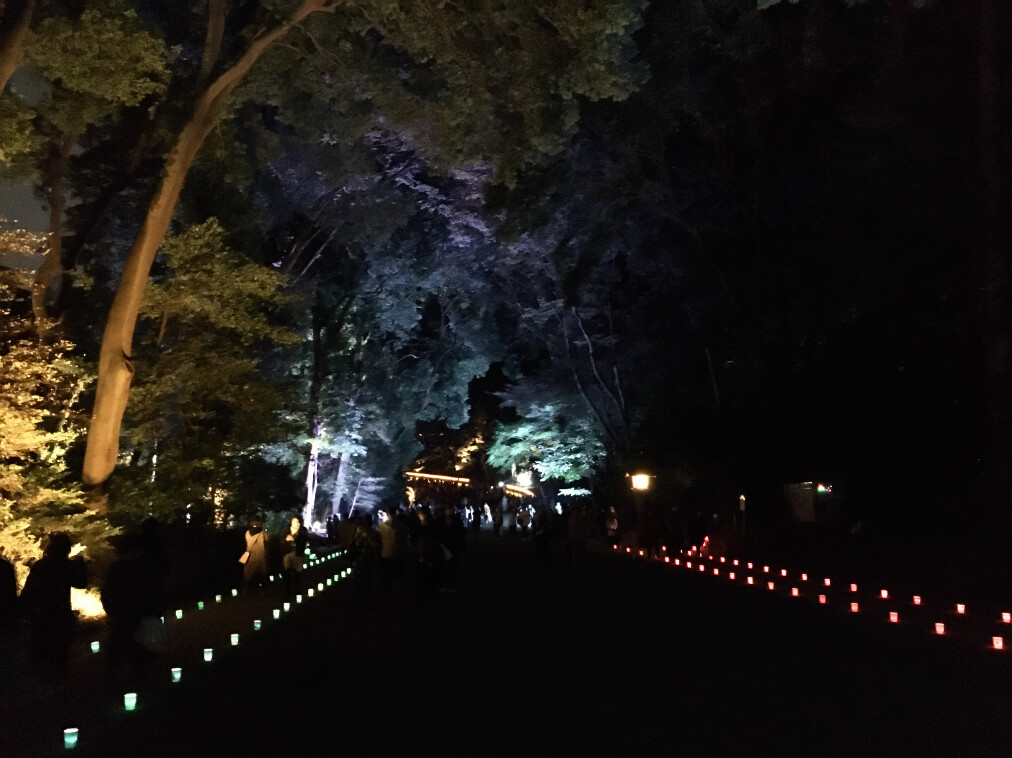 夜の明治神宮の鳥居と参道