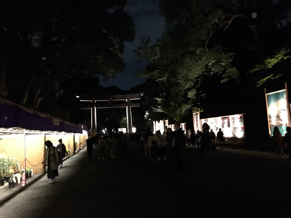 夜の明治神宮の参道と鳥居