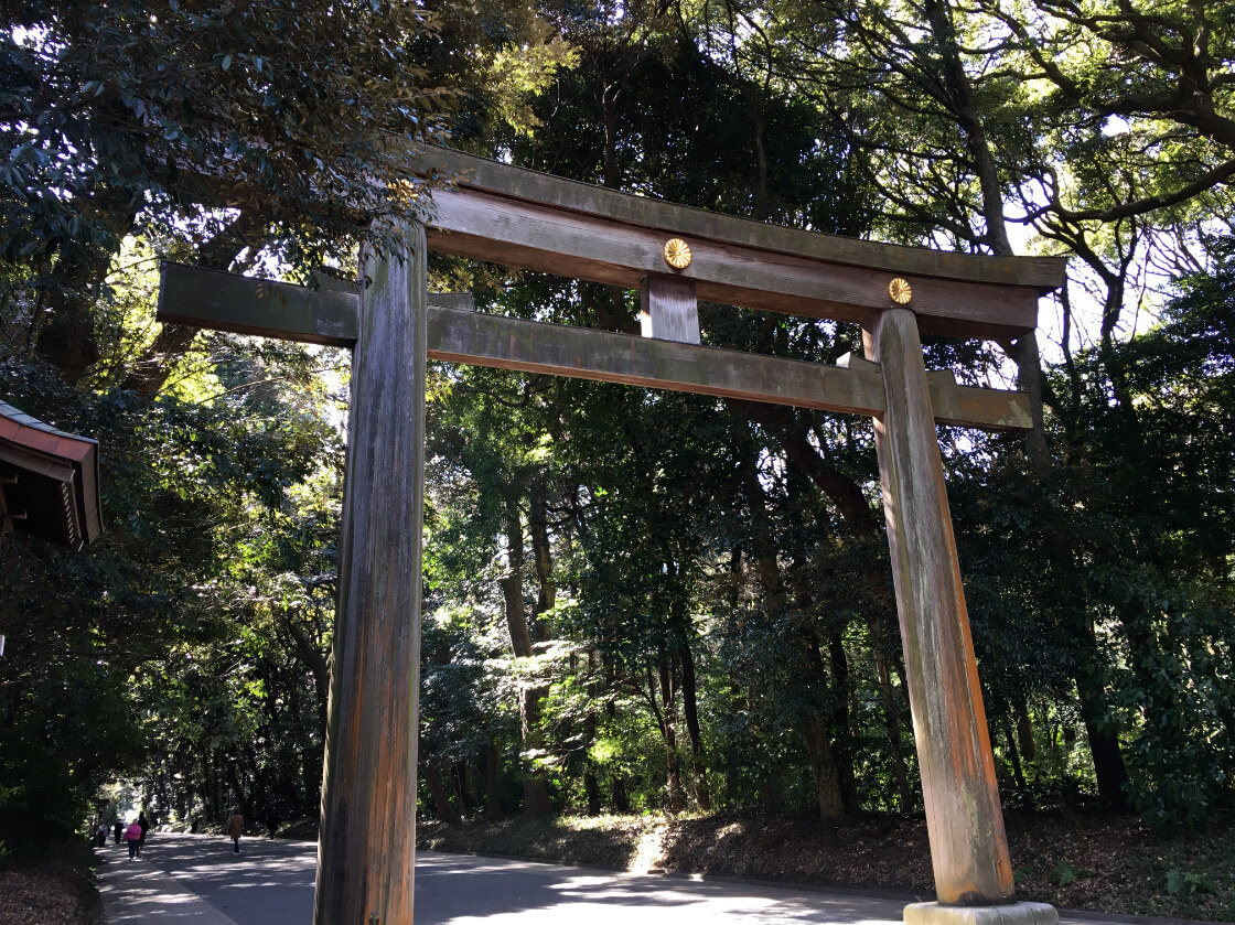 まとめ：明治神宮の夫婦楠で良縁祈願