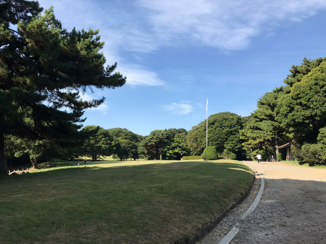 綺麗に整備された広大な芝