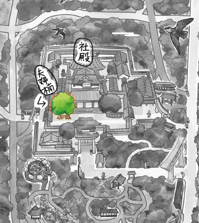 参拝前に確認したい夫婦楠の場所